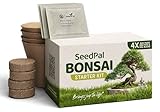 SeedPal Easy Bonsai Starter Kit - Bonsai Anzuchtset 4 versch. Bonsai Samen - Züchte deinen...