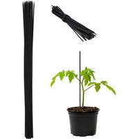relaxdays Rankhilfe Schwarze Pflanzstäbe 90 cm 50er Set von OTTO DE ✔ Jetzt dieses Produkt und eine große Auswahl weiterer Produkte beim Gartenkönig finden ✔
