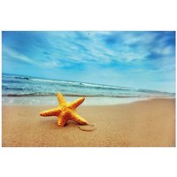 Wallario Sichtschutzzaunmatten Seestern am Strand am Meer von OTTO DE ✔ Jetzt dieses Produkt und eine große Auswahl weiterer Produkte beim Gartenkönig finden ✔