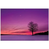 Wallario Sichtschutzzaunmatten Mond und Baum am Abend bei Schnee von OTTO DE ✔ Jetzt dieses Produkt und eine große Auswahl weiterer Produkte beim Gartenkönig finden ✔