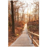 Wallario Sichtschutzzaunmatten Weg in den Sonnenuntergang von OTTO DE ✔ Jetzt dieses Produkt und eine große Auswahl weiterer Produkte beim Gartenkönig finden ✔