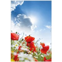Wallario Sichtschutzzaunmatten Mohnblumen unter blauem Himmel von OTTO DE ✔ Jetzt dieses Produkt und eine große Auswahl weiterer Produkte beim Gartenkönig finden ✔