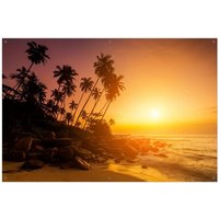 Wallario Sichtschutzzaunmatten Kokospalmen am Abend - Sonnenuntergang in Sri Lanka von OTTO DE ✔ Jetzt dieses Produkt und eine große Auswahl weiterer Produkte beim Gartenkönig finden ✔